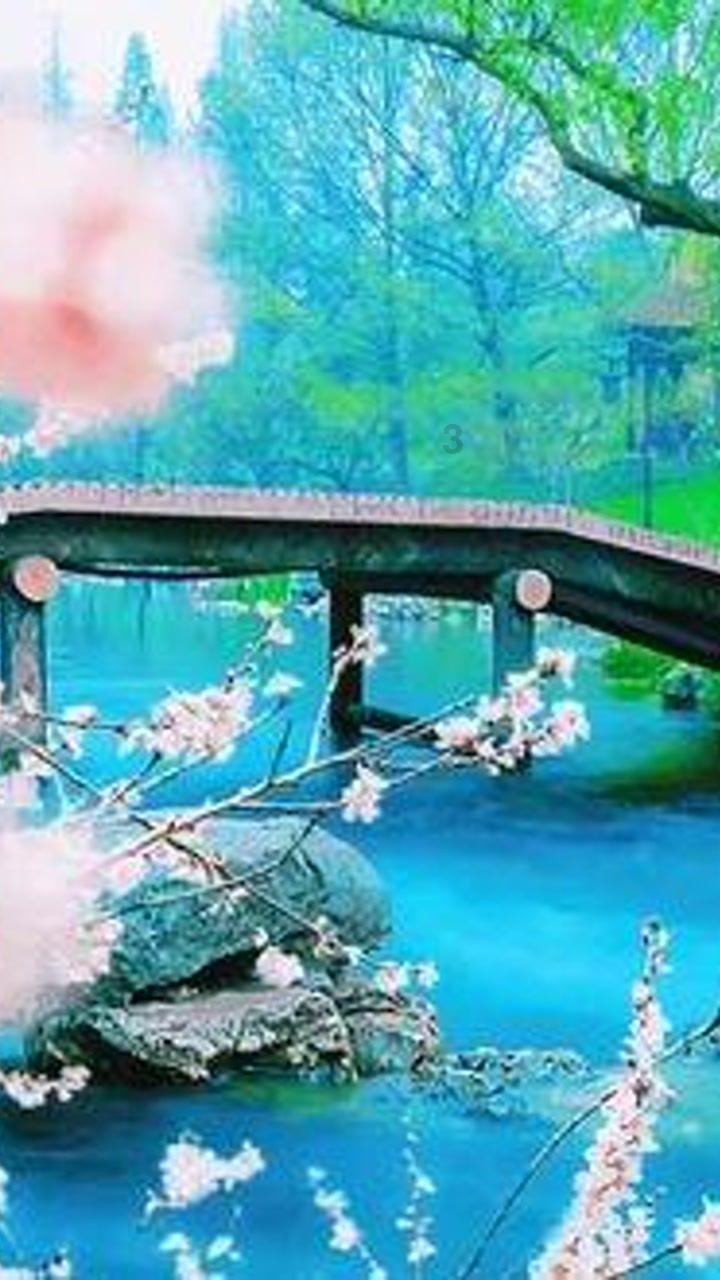 火龙冒险